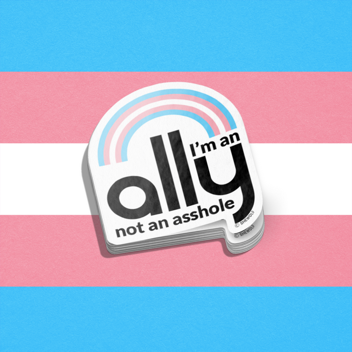 Sticker featuring the trans flag that says I'm an ally, not an asshole
